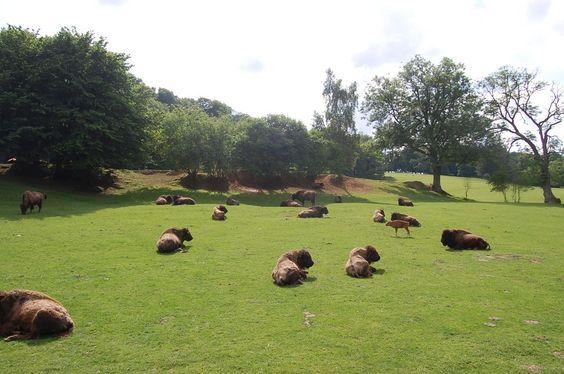 DSC_0074 [50%] [50%].JPG